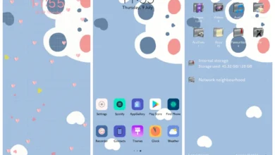 Cute Bear EMUI Theme