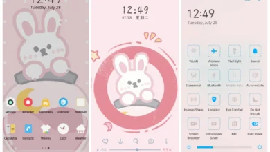 Huahua Rabbit EMUI Theme