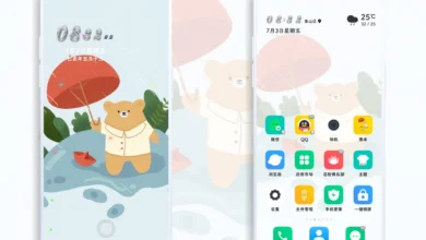 Little bear with umbrella EMUI Theme