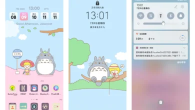 Totoro EMUI Theme