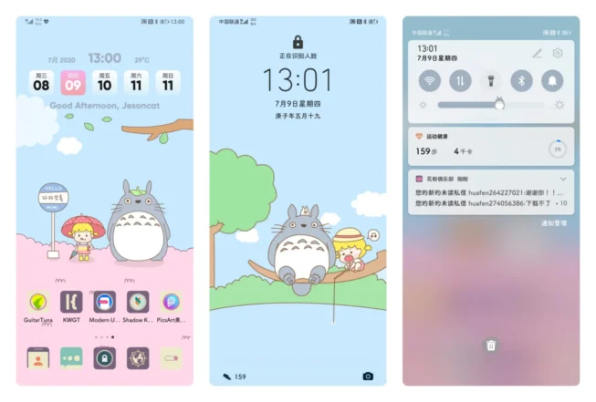 Totoro EMUI Theme