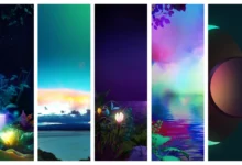 LG K31 Stock Wallpapers