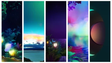 LG K31 Stock Wallpapers