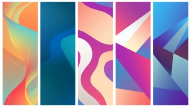 Lava Z66 Stock Wallpapers