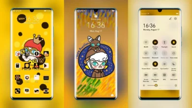 Molly EMUI Theme