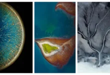 OPPO Color OS 7 Update & Oneplus HydrogenOS 11 Stock Wallpapers