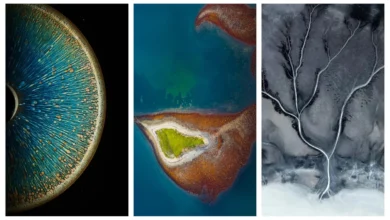 OPPO Color OS 7 Update & Oneplus HydrogenOS 11 Stock Wallpapers