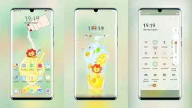 Royan EMUI Theme