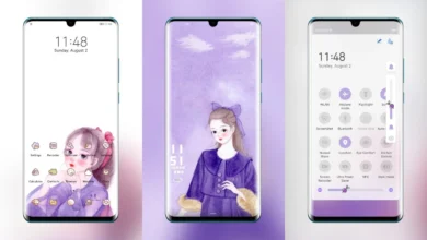 The Princess EMUI Theme