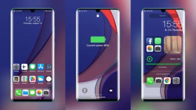 Best iOS Theme iLook