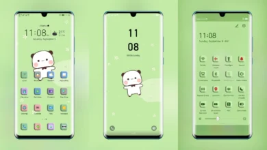 Cute Panda EMUI Theme