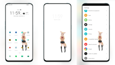 Fox Girl EMUI Theme