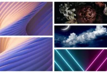 Moto Razr 5G Stock Wallpapers