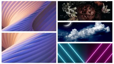 Moto Razr 5G Stock Wallpapers