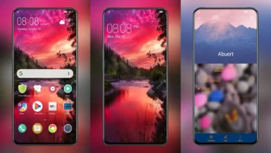 NTT FR006 EMUI Theme