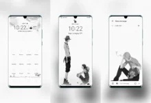 One Piece Commemorative Edition EMUI Theme