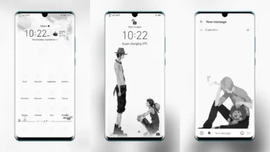 One Piece Commemorative Edition EMUI Theme
