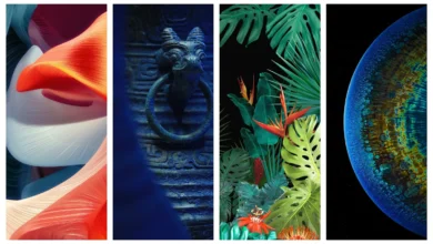 Oppo Art+ Wallpapers