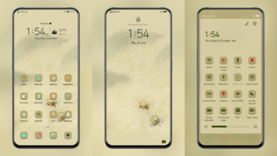 Autumn Harvest EMUI Theme