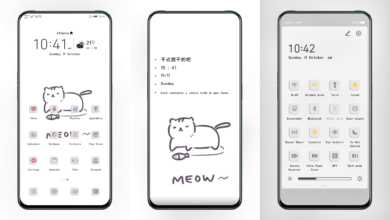 Cat and Fish EMUI Theme