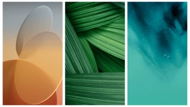 ColorOS 11 Stock Wallpapers