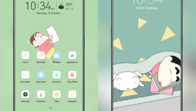Crayon Shin-Chan - Reading EMUI Theme