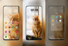 Cured Cat OL EMUI Theme