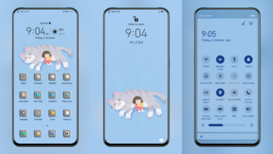 Lazy cat EMUI Theme
