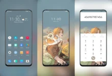 Natsume's Book of Friends EMUI Theme