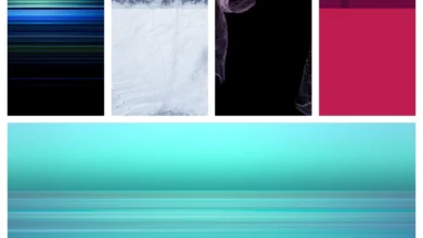 Sony Xperia 5 II Stock Wallpapers