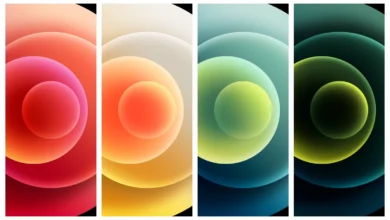 iPhone 12 (Pro) Wallpapers