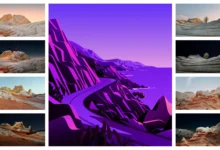 macOS Big Sur 11.0.1 Wallpapers