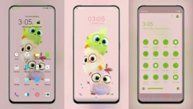 Angry Bird 2 EMUI Theme