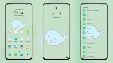 Little Whale EMUI Theme