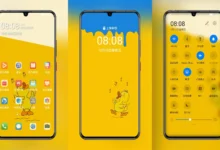 Quacker Jeff Duck EMUI Theme