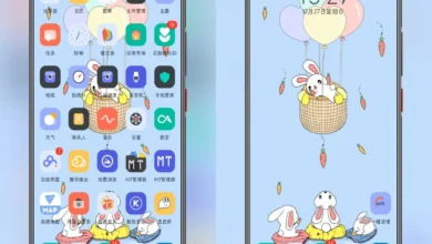 Rabbit Beck EMUI Theme