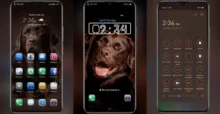 Brown labrador EMUI Theme
