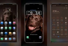Brown labrador EMUI Theme