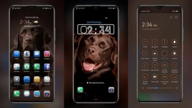 Brown labrador EMUI Theme