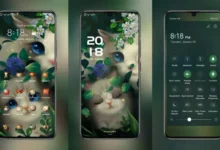 Cat Forest EMUI Theme