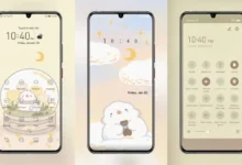 Cloud Ball Bear EMUI Theme