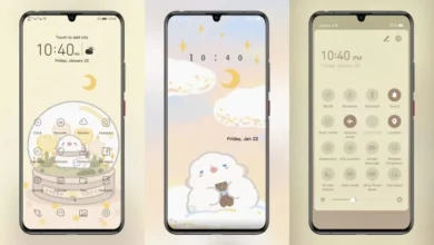 Cloud Ball Bear EMUI Theme