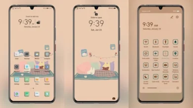 Coffee and Cake EMUI Theme