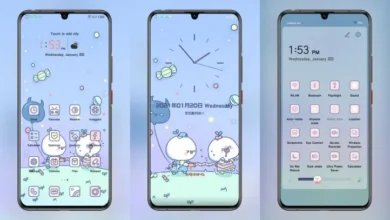 Dumpling EMUI Theme