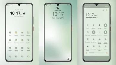 Holly EMUI Theme