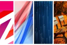 Lava Z6 Stock Wallpapers