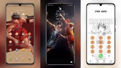 Slam Dunk EMUI Theme