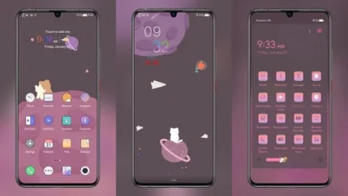 Space Bear EMUI Theme