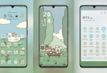 The Baby Bunny V3 EMUI Theme