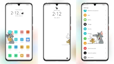 Tom and Jerry 2 EMUI Theme